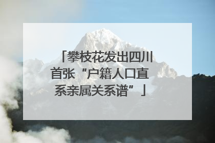 攀枝花发出四川首张“户籍人口直系亲属关系谱”